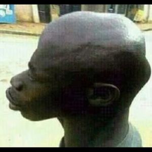 Meet your Posher, Jake